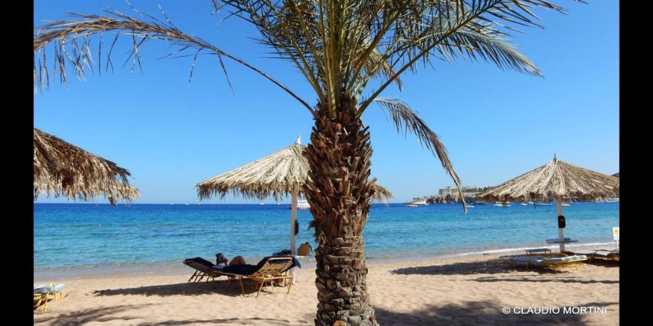 Sharm Dreams Vacation Club - Aqua Park Hotel Kültér fotó El Alamein beach